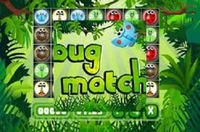 Play Bug Match