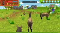 Play Horse Simulator 3D