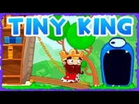 Play Tiny King