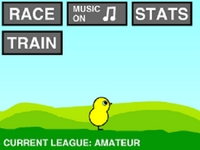 Play Duck Life
